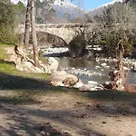 Dominique Chalet Azzana