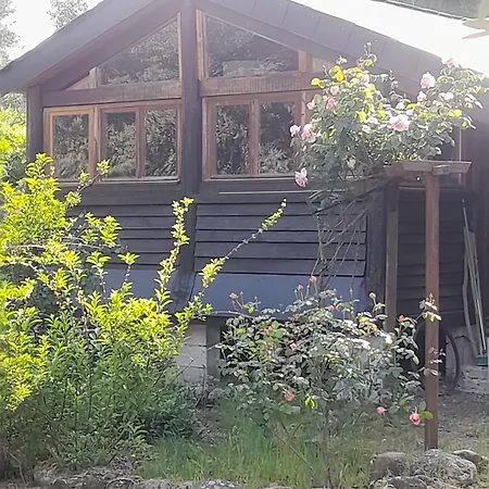 Σαλέ Dominique *