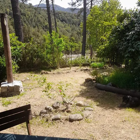 Σαλέ Dominique *