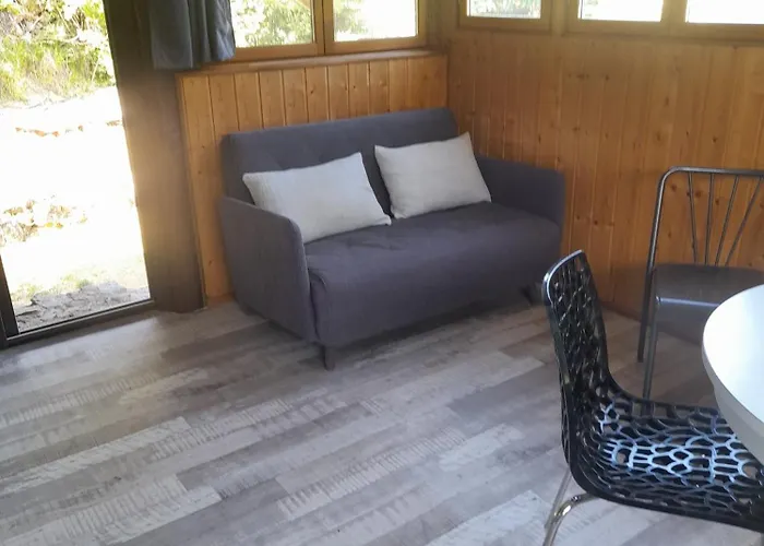 Dominique Chalet *